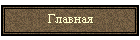 Домашняя
